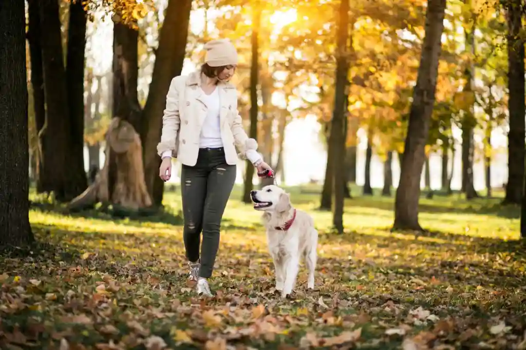 Optimal walking time