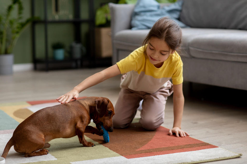 alternatives to walking dog