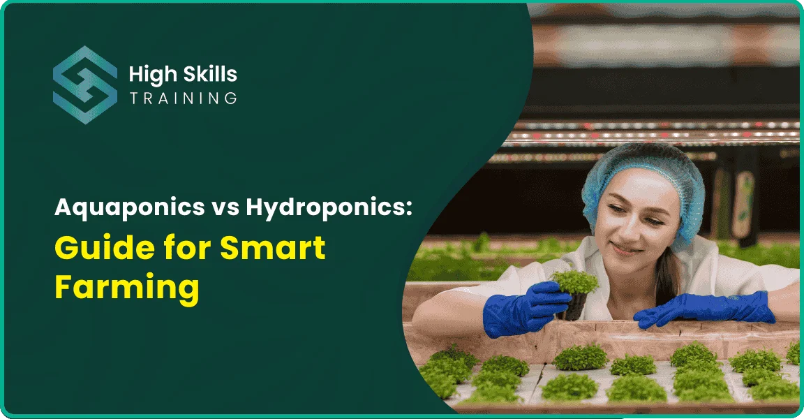Aquaponics vs Hydroponics: Guide for Smart Farming
