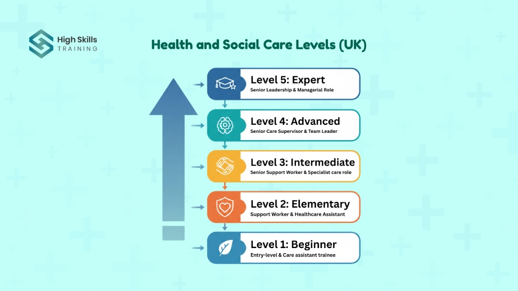 levels of health and social care