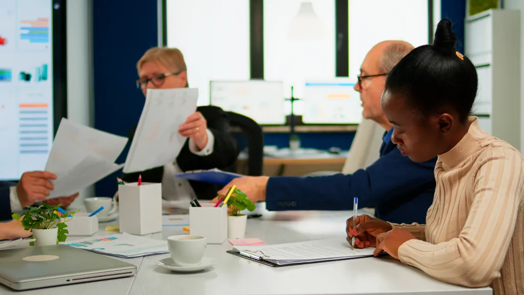 write the process of risk management