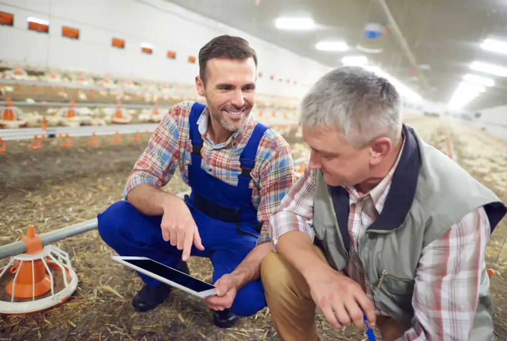 poultry production business plan