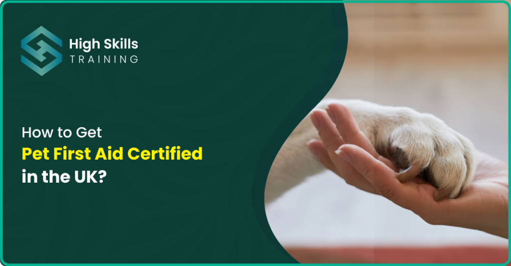 How to Get Pet First Aid Certified in the UK?